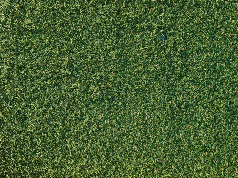 Artificial Grass: The Synthetic Epidemic Silently Poisoning Britain's Green Spaces