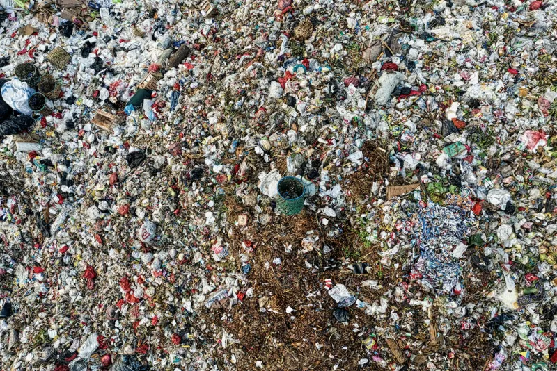 Digging Deeper: Britain's Allotment Renaissance Unearths an Uncomfortable Plastic Truth