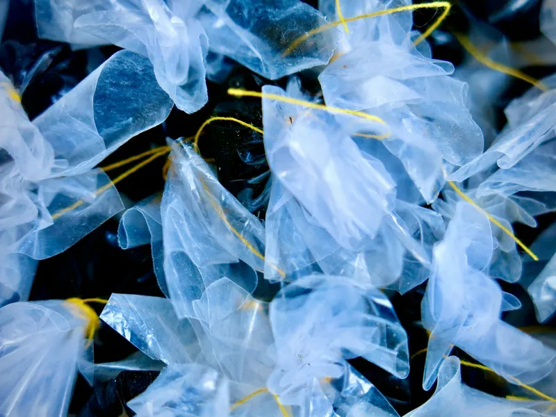 The Maternal Betrayal: Britain's Mother's Day Triggers Annual Plastic Avalanche