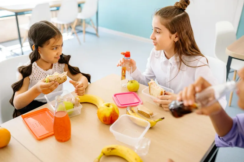 Packed with Problems: The Daily Disaster of Britain's School Food Packaging Crisis