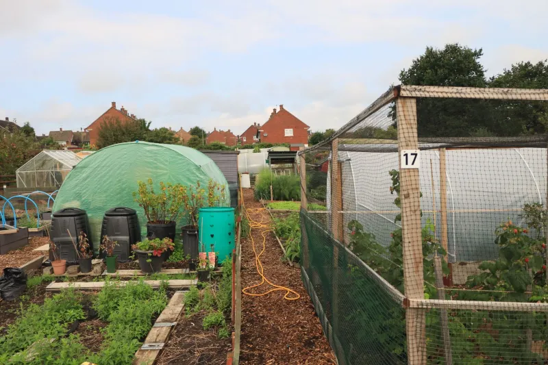 Roots of Contradiction: The Plastic Irrigation Crisis Quietly Poisoning Britain's Self-Sufficiency Movement